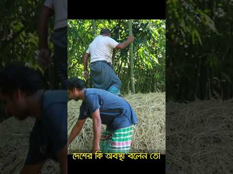 ছবি