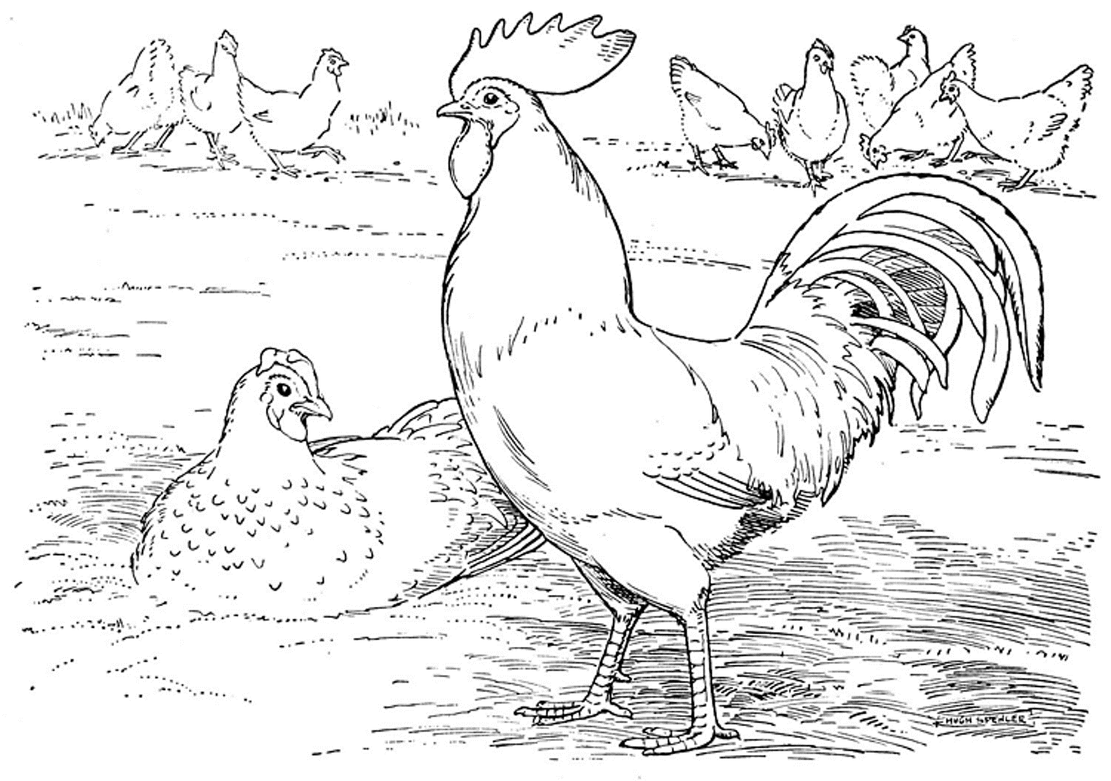 Download Farm Coloring Pages Preschool - Coloring Home