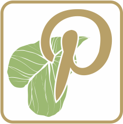 ”pinterest”
