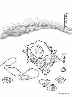 貝類の塗り絵 大人の塗り絵ー無料新着ぬりえ
