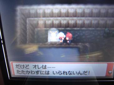 まかろんのポケモンにっき