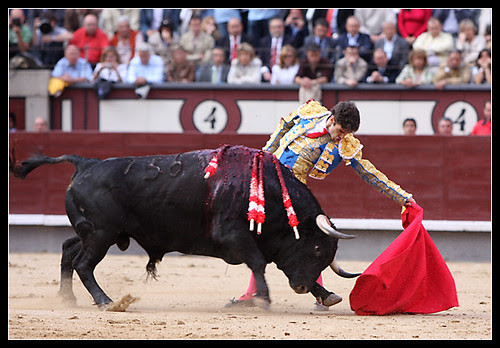 Jose-Tomas-06