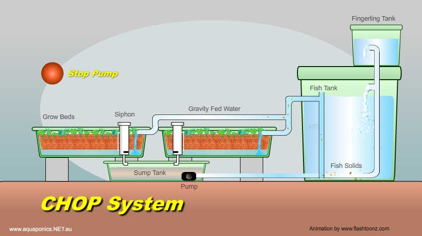 Backyard Aquaponics • View topic - Chop system grow bed to ...