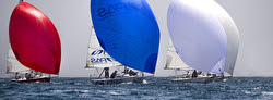 J/80 Worlds- Sotogrande, Spain