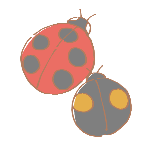赤と黒のてんとう虫のイラスト かわいいフリー素材が無料のイラストレイン