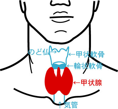 亜急性甲状腺炎 笠井耳鼻咽喉科クリニック
