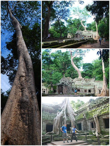 Taprohm_02