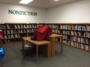 summer library 1