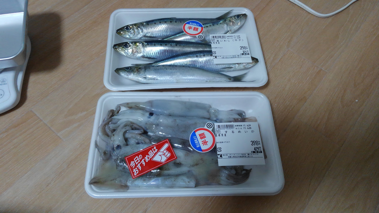 ぶっこみ仕掛けを 三叉部分を浮かせるための実験 釣食企画人 スーさんブログ With アニメバンド ペンギンズ