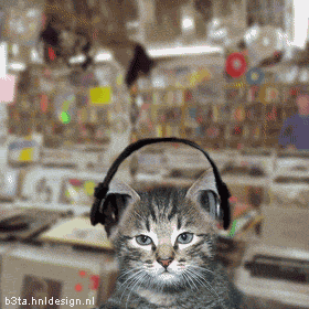 Pon música
