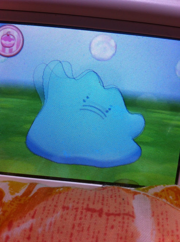 色違いに釘付け メタモン Xy