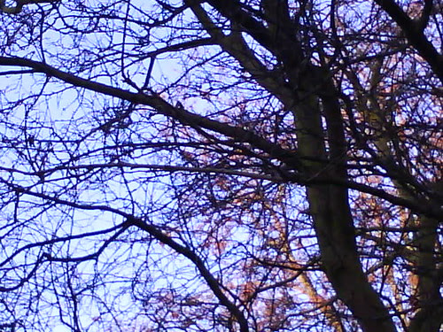 Photo75491