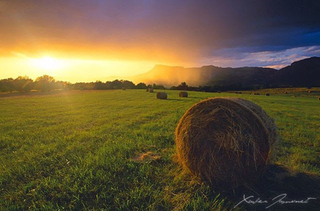 Amazing Nature Photos