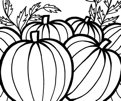 pumpkins coloring pages  celebrate thanksgiving learn