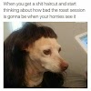 Bad Haircut Roasts