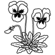 春の花1 春の花 植物 無料イラスト 白黒イラスト素材