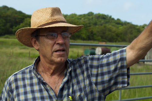 Cattle Farm2