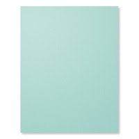 Pool Party 8-1/2" X 11" Card Stock