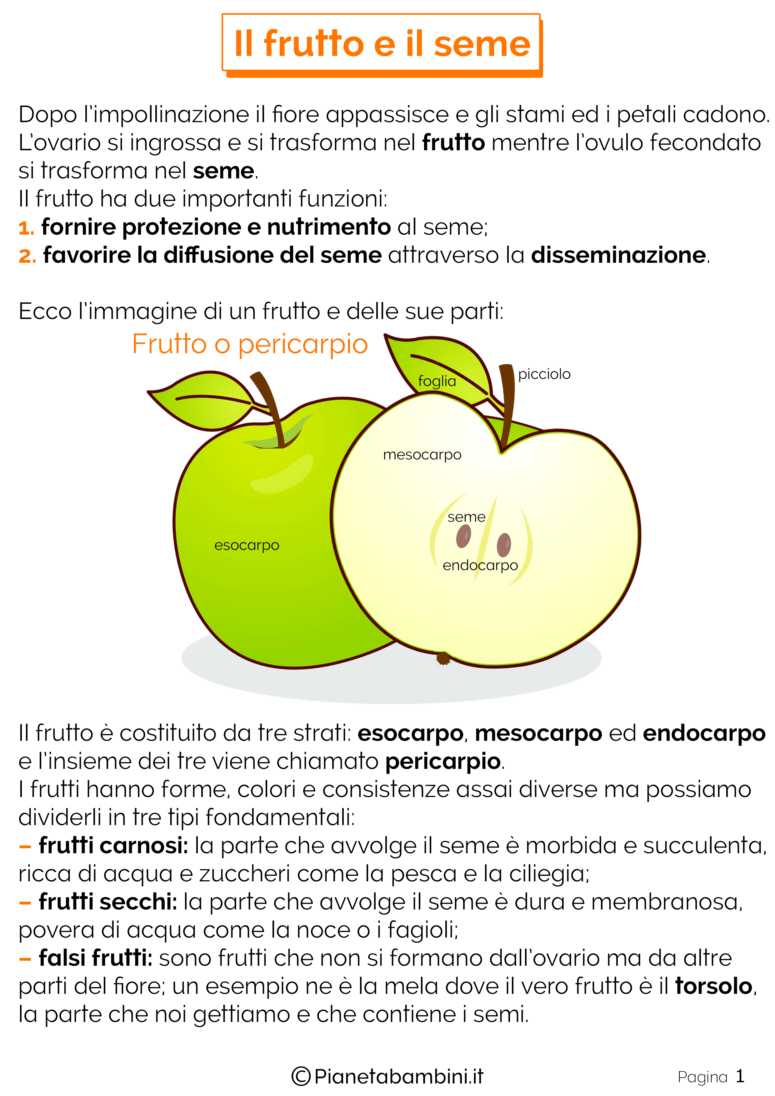 puter la pagina prescelta o in alternativa procedere alla sua stampa diretta tramite le funzioni dedicate offerte dal browser internet in uso
