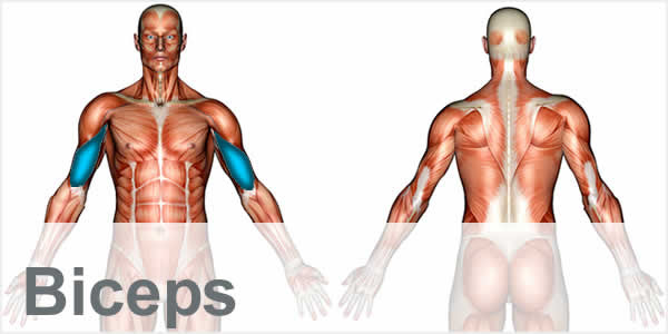 Exercise Videos Shapesense Com