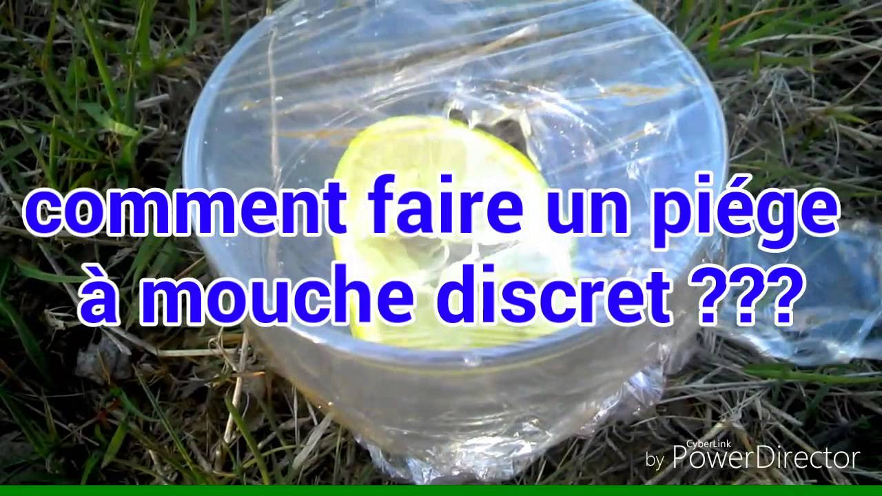 Piges Faits Maison Pour Se Débarrasser des