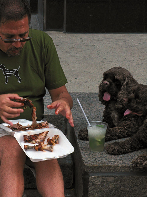 two dogs look on as their owner eats ribs
