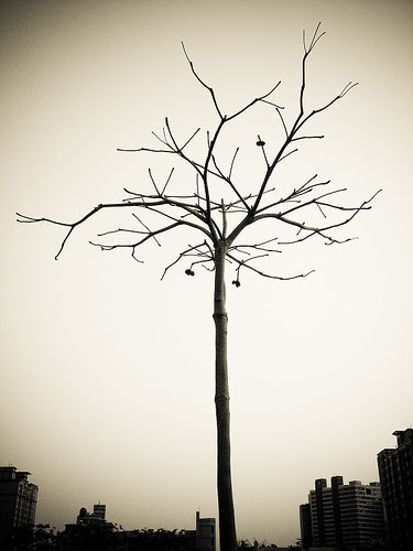 alone (by 小帽(Hat))