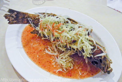 Thai style deep fried grouper R0016180 copy