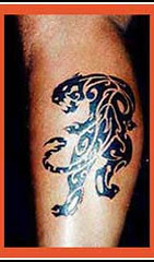 lion tattoo