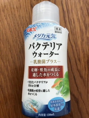 メダカのお世話 レモンハートの部屋