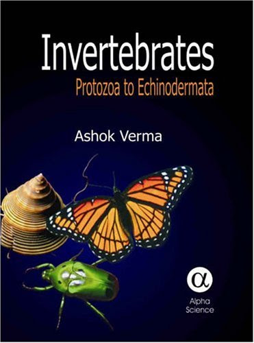 Invertebrates: Protozoa to EchinodermataBy Ashok Verma