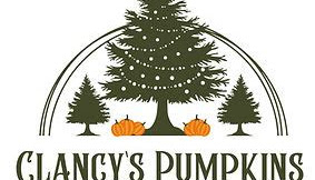 Spruce Up Your Holidays with Clancy's Christmas Trees - Premium Selections and Expert Services Await!