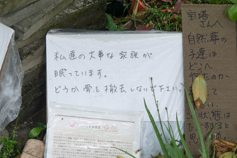 ペット葬儀 霊園ニュース 検索結果