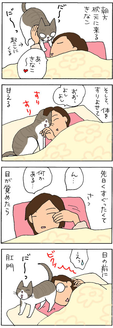 目覚めスッキリ 4コマ猫漫画 ナノトクラス