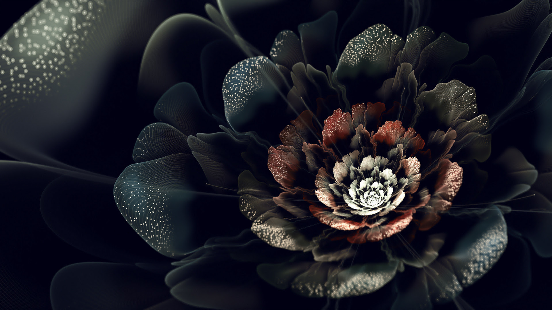  Flowers  on Black  Background Wallpaper  77 images 
