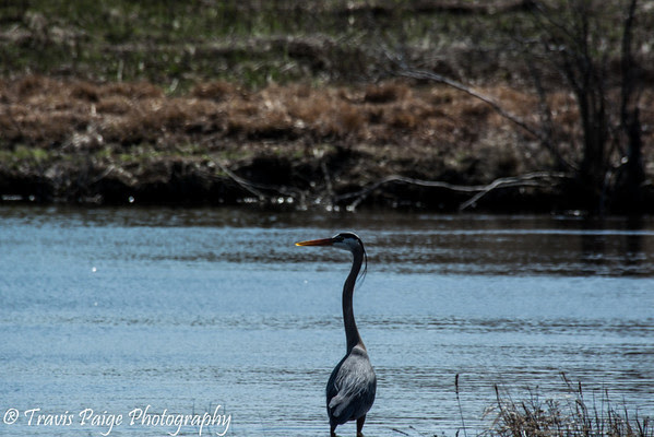 Photo & Video Sharing by SmugMug