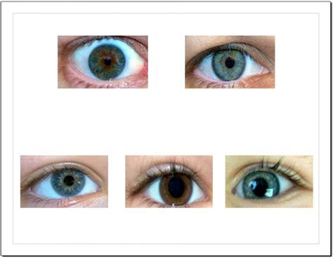 Hazel eyes are a mixture of 2 or 3 colors and can look different on each person. eye color genetics chart hazel images pictures becuo
