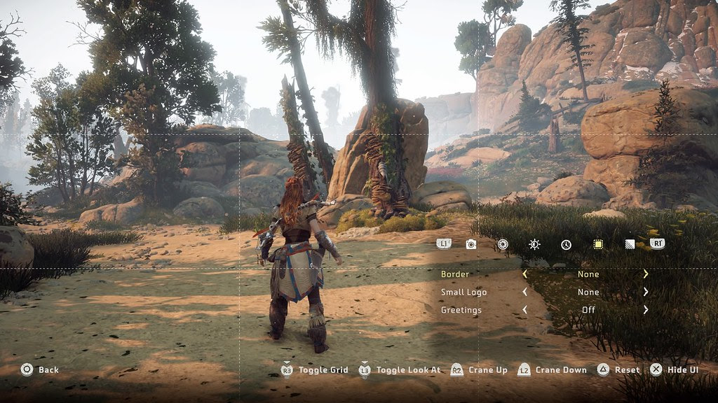 hzd_screens_photomodeupdate_grid
