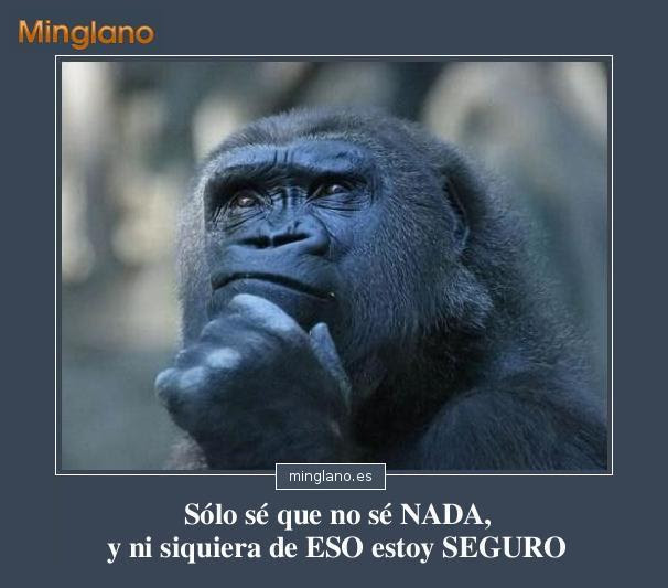 FRASES para HACERSE el TONTO