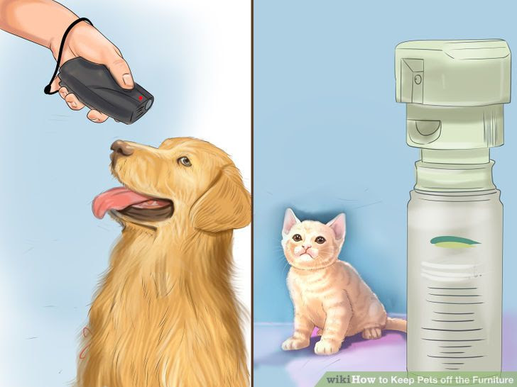 Keep Pets off the Furniture Step 12 Version 2.jpg