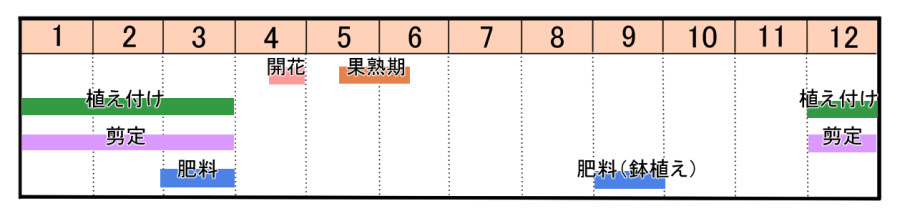 ジューンベリーの育て方 ヤサシイエンゲイ