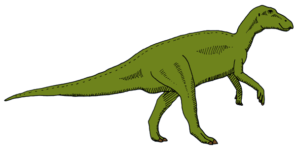 DinosaurierInteresse  Edmontosaurus