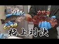カサゴ と メバル の 違い 171289