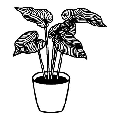 観葉植物5 観葉植物 花 無料 白黒イラスト素材