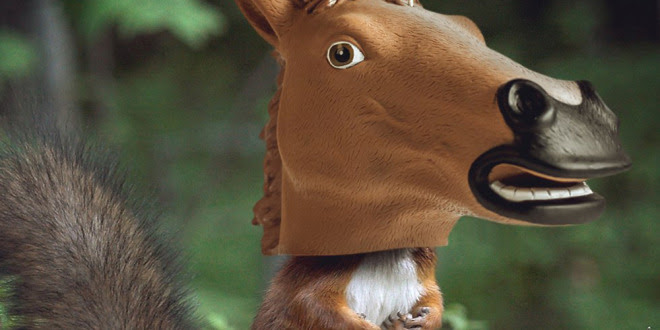 A Horse Mask That’s Also a Squirrel Feeder, Because Why Not