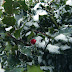 thumbnail image generated from post