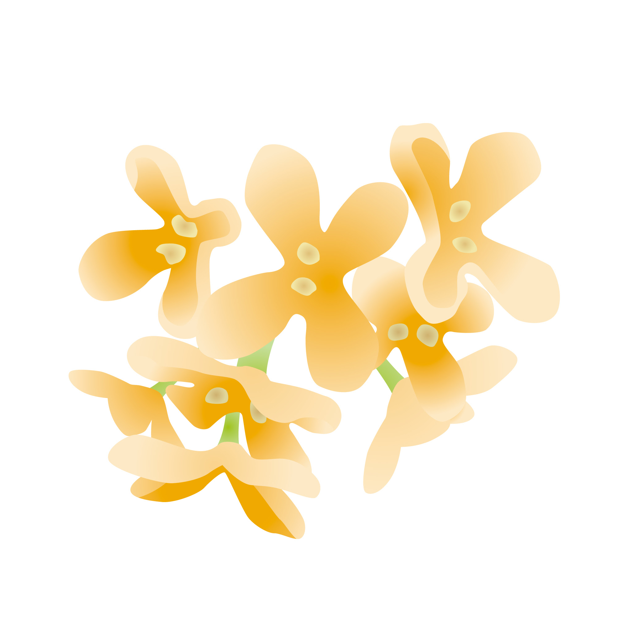 花のイラスト 無料 秋の花