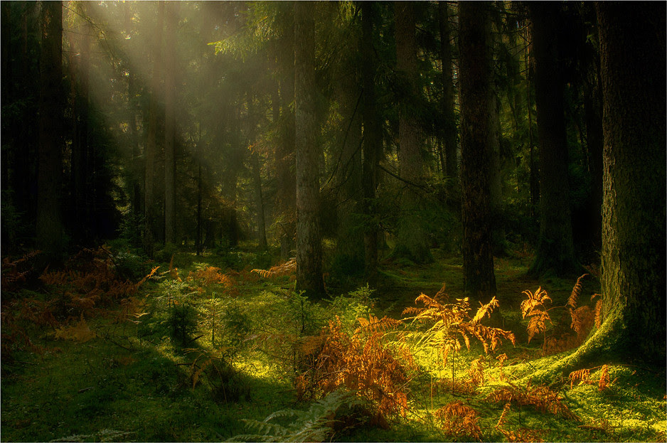 nature photography, view community,