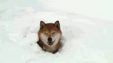 akita comic sans