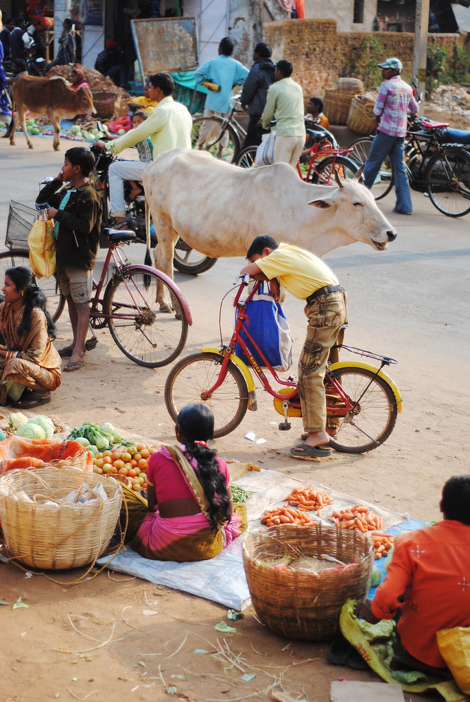 the india.